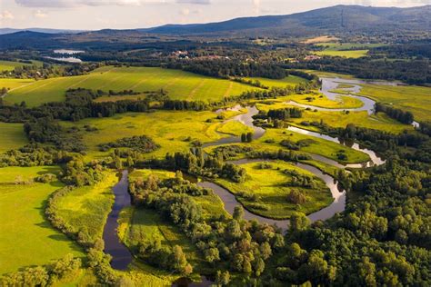suamuva|Šumava National Park .